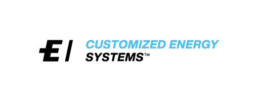 Customized Energy Systems