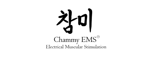 Chammy EMS logo