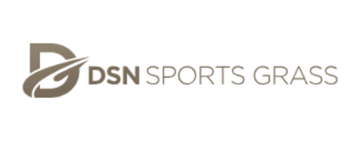 Logo_template DSN