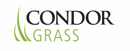 Logo_template condor grass